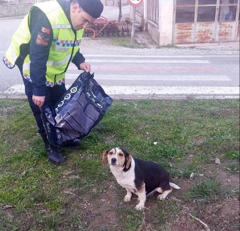 WhatsApp-Image-2024-03-01-at-11.00.12 Balıkesir jandarması sokak hayvanlarını unutmadı